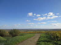 /album/fotogalerie/bildstoff-429-jpg/